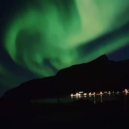 Apartment I Rorbu Pa - Yttersia Senja Kallfarnes